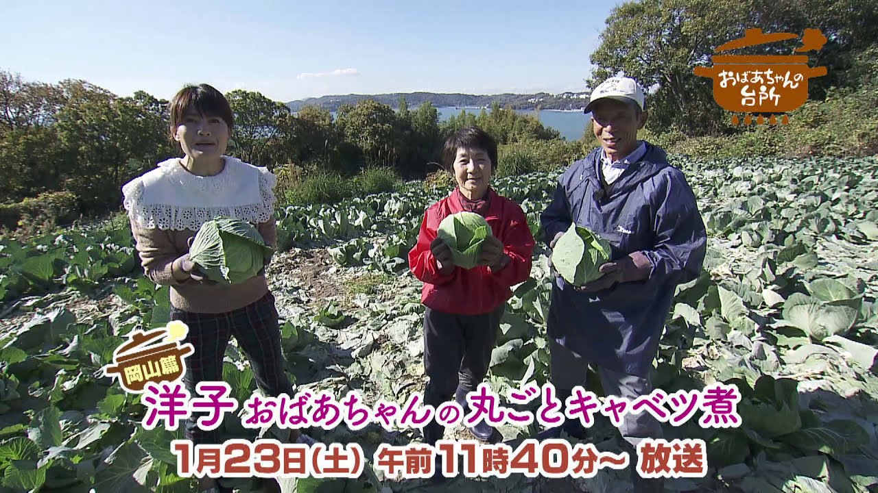 1月23日 土 午前11 40 のおばあちゃんの台所は 洋子おばあちゃんの丸ごとキャベツ煮 です キャベツ農家のおばあちゃんが作る大胆絶品料理です ぜひご覧ください Youtube 1月23日 土 午前11 40 のおばあちゃんの台所は 洋子おばあちゃんの丸ごとキャベツ煮 です キャベツ農家のおばあちゃんが作る大胆絶品料理です ぜひご覧ください Youtube