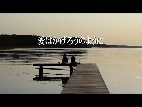 「シャーリーン（Charlene）　愛はかげろうのように（I've Never Been to Me）」BGM・インストゥルメンタル。