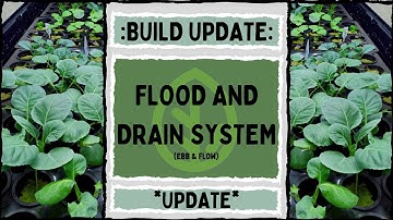 UPDATE: Flood and Drain Build  - On the Grow