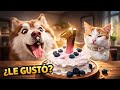 Torta para perros SÚPER FÁCIL: Sin horno y con solo 5 ingredientes 🦊🎂 -Pinkimanada.