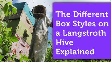 The Boxes of a Langstroth Hive Explained