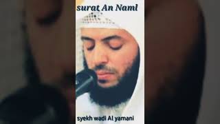 surat An Naml-syeikh wadi Al yamani#20