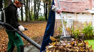 Leaf Blower or Rake: Which is the Better Fall Cleanup Tool?