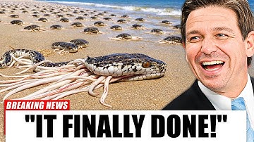 Everyone Laughed At Florida For Releasing THOUSANDS Of Snake-Killing Creatures, Truth Will STUN You
