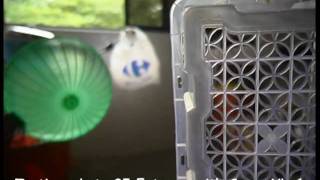testing Letus35-2.flv