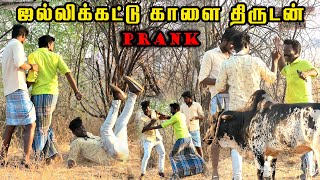 ஜல்லிக்கட்டு காளை திருடன் Prank | Tamil Prank