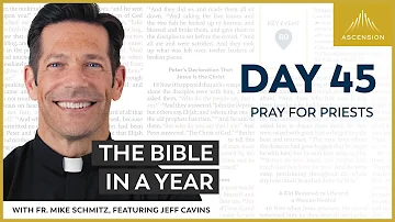 Day 45: Pray for Priests — The Bible in a Year (with Fr. Mike Schmitz)