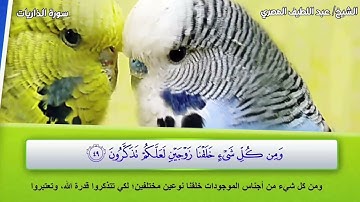 سورة الذاريات فيديو - القارئ الشيخ/ عبد اللطيف المصري