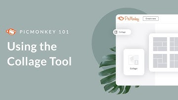 PicMonkey 101 | Using the Collage Tool