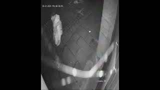 Lancaster sexual assault and burglary CCTV