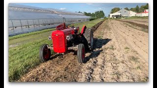 Massey Ferguson 35e, now equipped with current shunt and gauge!