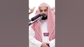 القارئ رعد الكردي ما شاء الله عليه😍 #islam #quran #قرآن #دعاء #محراب