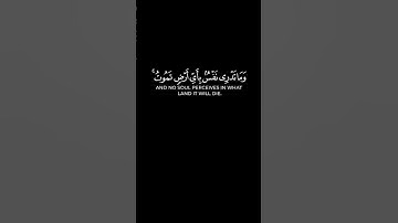 " وَمَا تَدْرِي نَفْسٌ مَّاذَا تَكْسِبُ غَدًا " #سورة_لقمان #أحمد_النفيس #quran #كرومات_قرآن