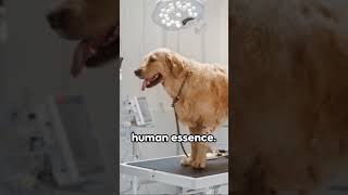 Tech Wonders - Ai Possibilities And Concerns