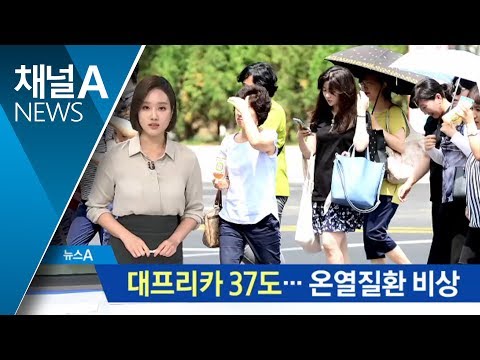 ‘찜통 더위’ 대프리카 37도…온열질환 비상