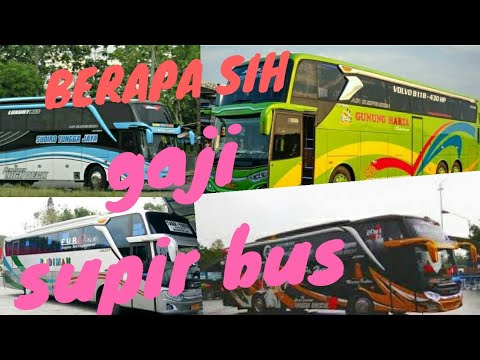 Video: Berapa penghasilan seorang sopir bus wisata?