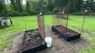 Self Watering Raised Bed Garden setup with Fairy Lights