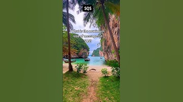 Aws Facts.. #shorts  #devops  #azure  #infra #aws #gcp #cloudops #argocd #cloudinfrastructure