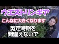 ウエストリンギア こんなに大きくなります 剪定時期【おうちでガーデニング】開花園チャンネル