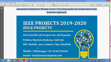 Automated Method for Retinal Artery Vein Separation via Graph Search Metaheuristic Approach