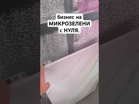 Видео: #микрозеленьдома #ситиферма #бизнеснамикрозелени #микрозелень