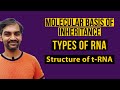 Types of RNA | Structure of tRNA | Molecular Basis of Inheritance