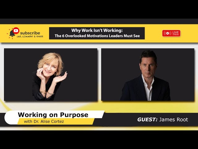 Why Work Isn’t Working: The 6 Overlooked Motivations Leaders Must See Why Work Isn’t Working: The 6 Overlooked Motivations Leaders Must See
