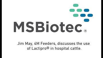 Use of Lactipro® in Hospital Cattle