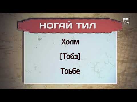 Разговорник (ногайский язык) (22.08.2018)