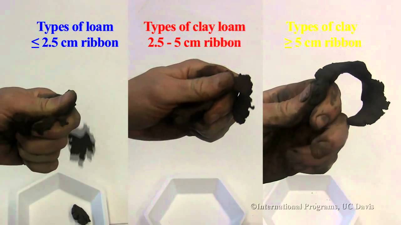 Soil Ribbon Test Chart