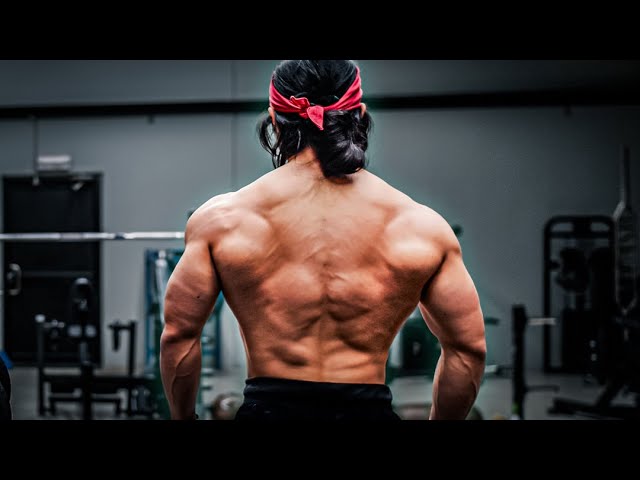 The Ultimate Back Workout Guide for Maximum Muscle Growth 