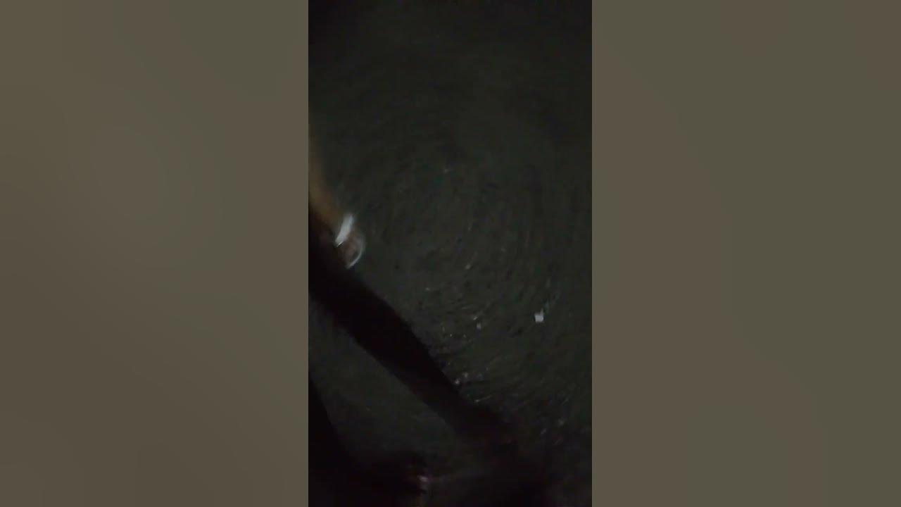 огромный таракан - YouTube