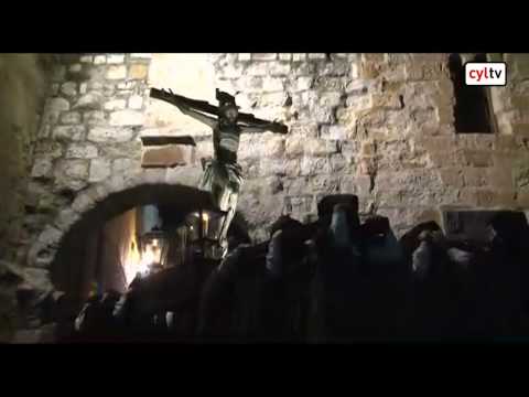 Hermandad Penitencial del Santísimo Cristo del Amparo