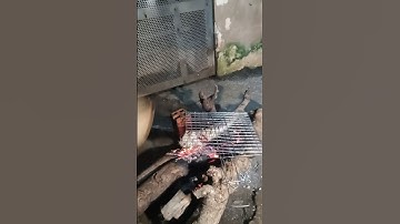 nướng cá nửa đêm