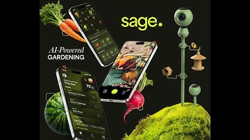 202430 UXDG 490 SAGE Vision Video