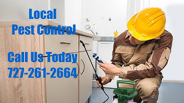 Pest Extermination High Point FL - Domestic Exterminators Emergency Bed Bug Control