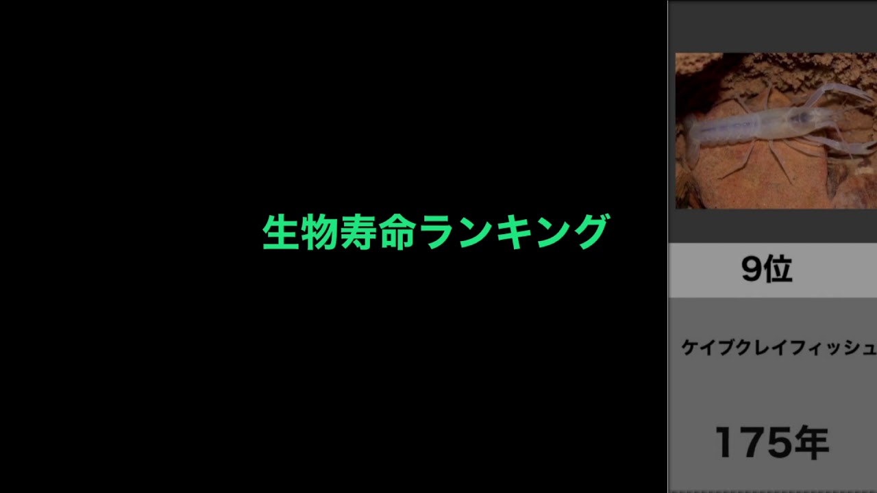 生き物寿命ランキング Youtube