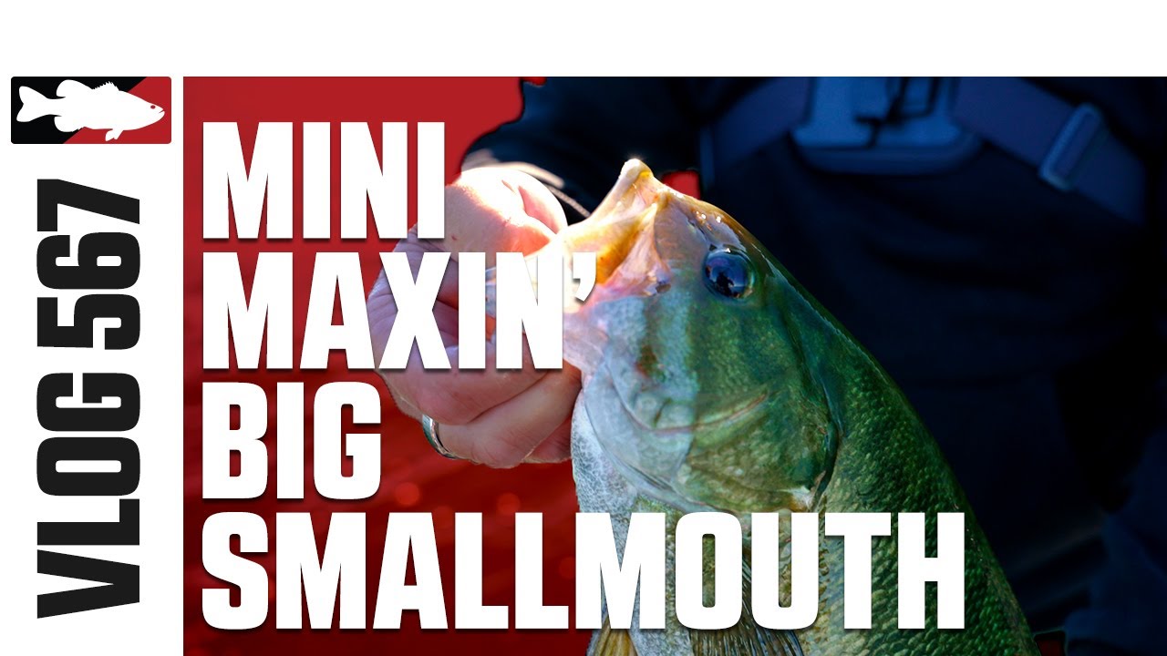 Catching Big Smallmouth on the Z-Man Mini Max w/Luke Clausen - VLOG#567 