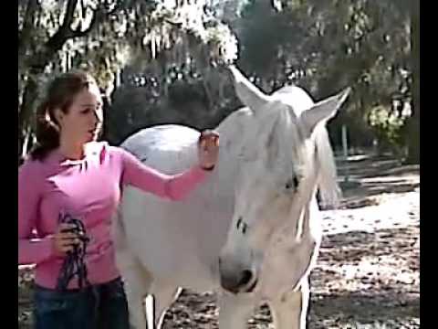 funny-videos-2016--horse-and-girl
