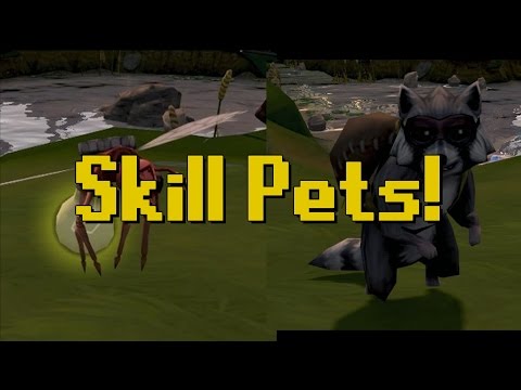 RS Updates | Skill Pets