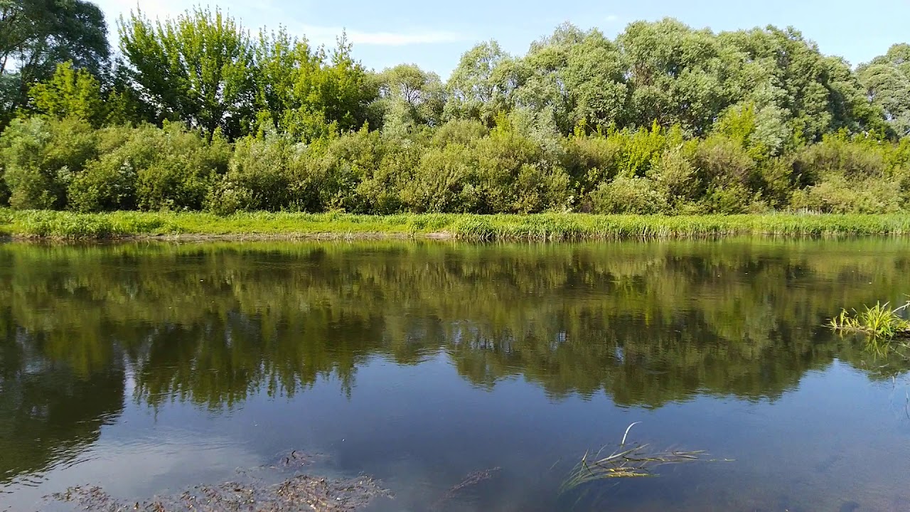 Карыж курская погода