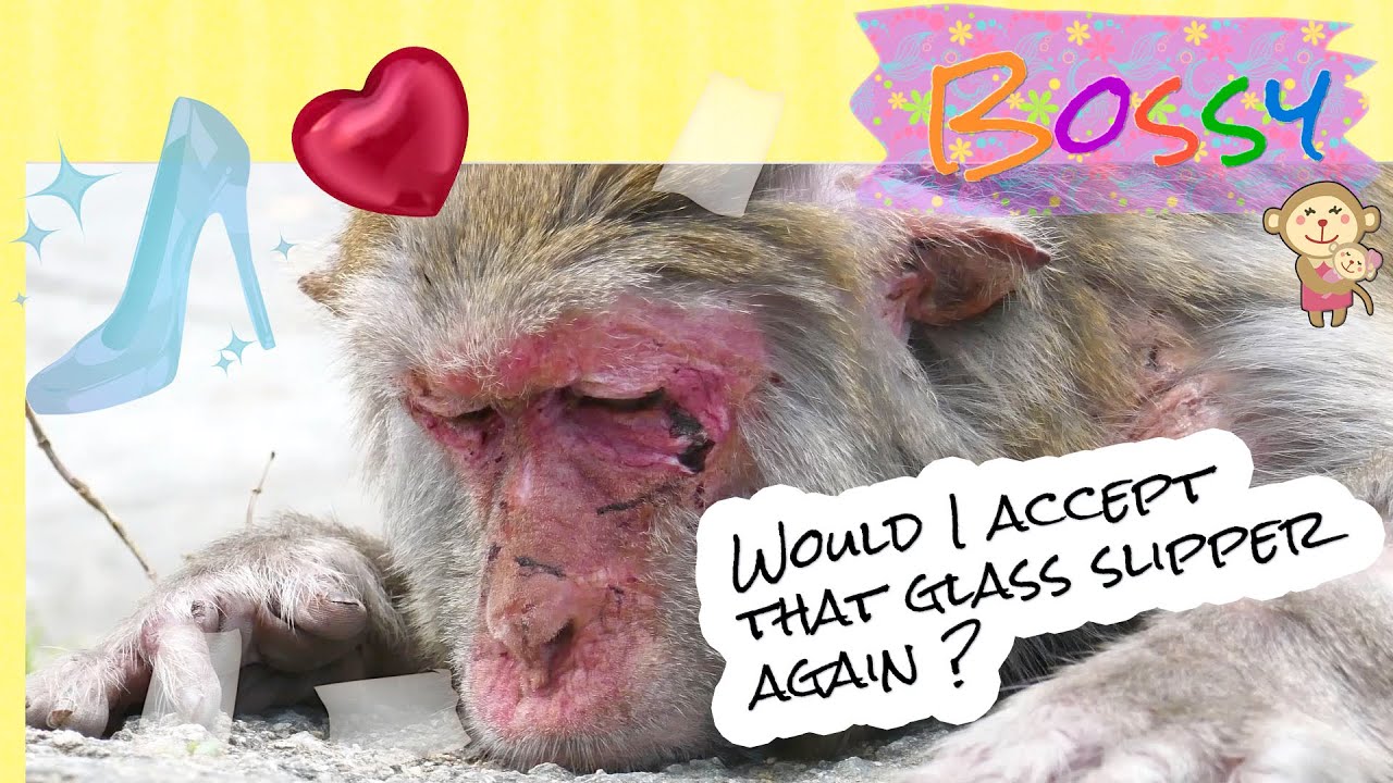 The downfall of a pseudo-matriarch