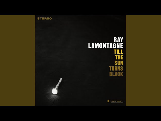Ray LaMontagne - You Can Bring Me Flowers