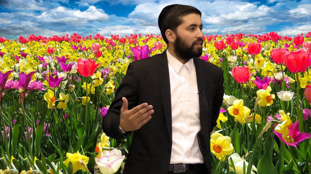 מרגש ומחזק ברמות!!!! סיפורו של מלך סין והפרח שנבל!!!