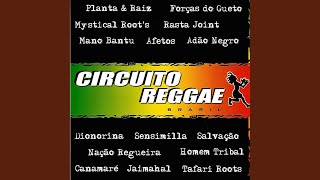 Miniatura de vídeo de "Circuito Reggae - Bota Um"