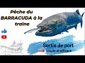 Pche traneleurre barracuda marseille carton pleins 