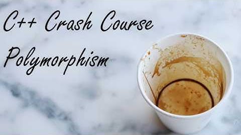 C++ Crash Course: Polymorphism
