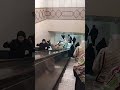 #travel #lifeisbutadream #vlog #ihavethisthingwithplants#airport# abroad rhny Wala kasy qurbani kry