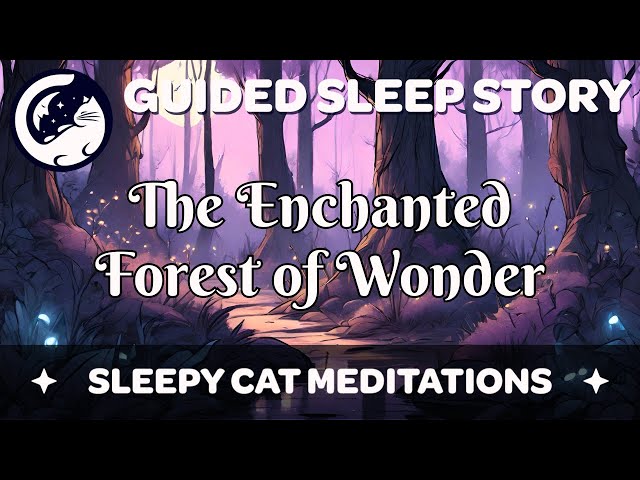 The Enchanted Forest of Wonder - Guided Sleep Story (2024 Remaster) class=