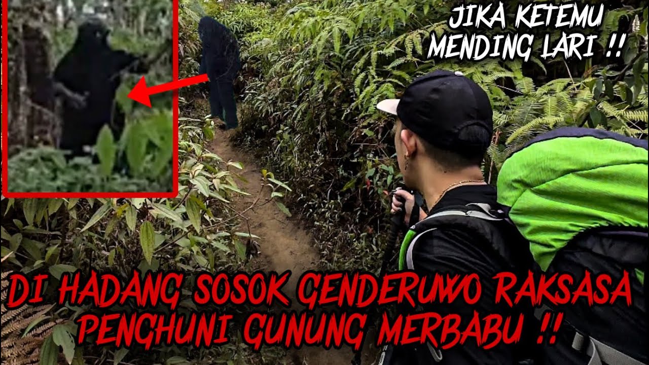 DIHADANG MAKHLUK PENJAGA GUNUNG MERBABU !! SOLO CAMPING HORROR DI JALUR PENDAKIAN GUNUNG MERBABU !!